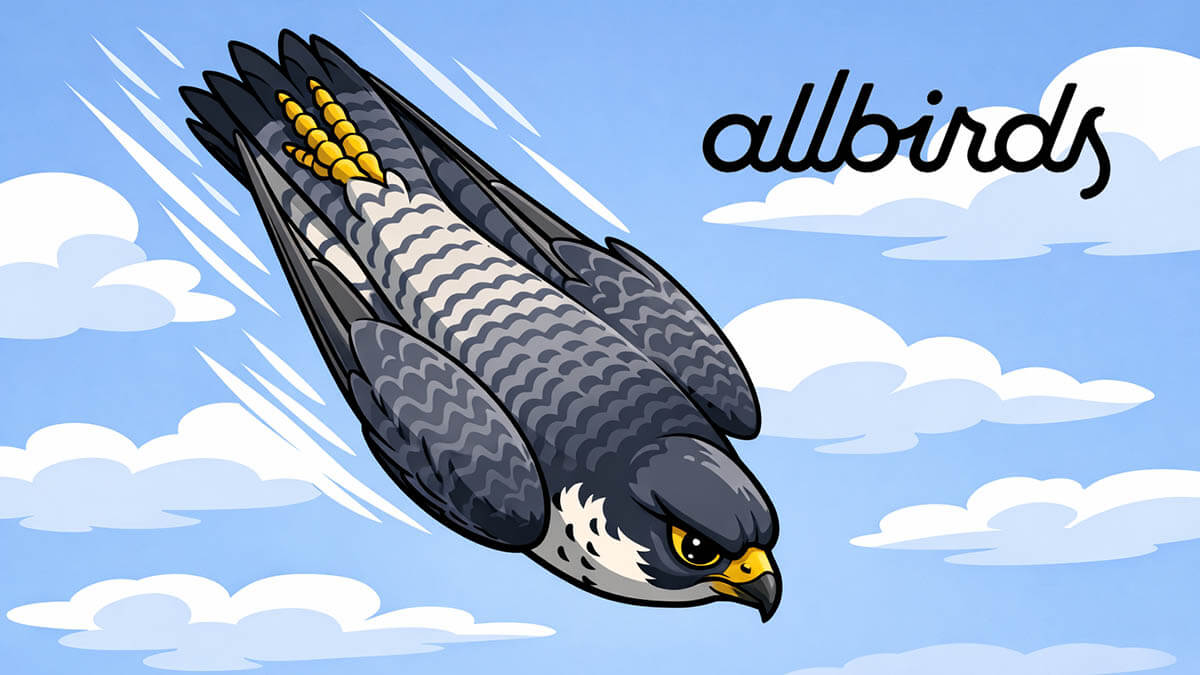 Allbirds dive bomb into extinction